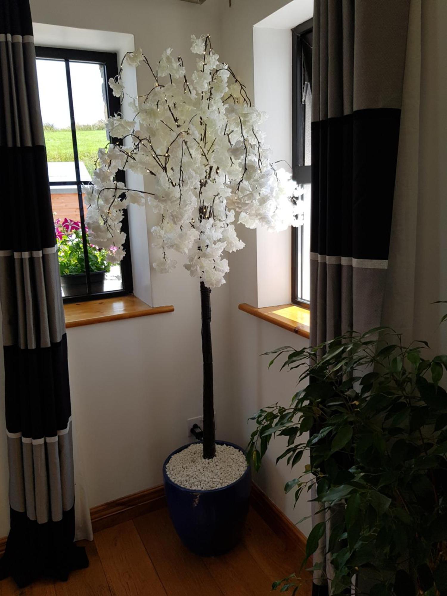 Atlantic Coast Holiday Home Mountcharles Екстериор снимка